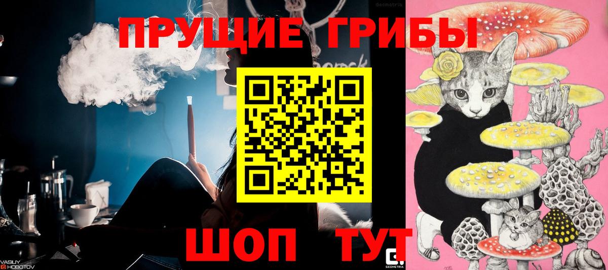 Псилоцибиновые грибы мухоморы  Псилоцибиновые грибы мухоморы  Луга  Вход с VPN 